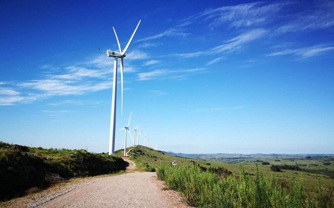 TSR Wind, unique services