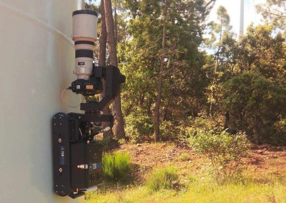 marciefosterdesigns Pge Cancel Service